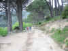 trekking4.jpg (121909 byte)