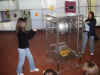 Citt-della-Scienza-005.jpg (45881 byte)