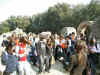 Cuma001.jpg (103577 byte)