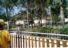 wpe16.jpg (68466 byte)