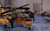 wpe34.jpg (54287 byte)