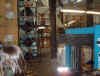 wpe21.jpg (61733 byte)