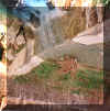 wpe2.jpg (16575 byte)