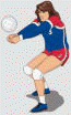 pallavolo.gif (1638 byte)